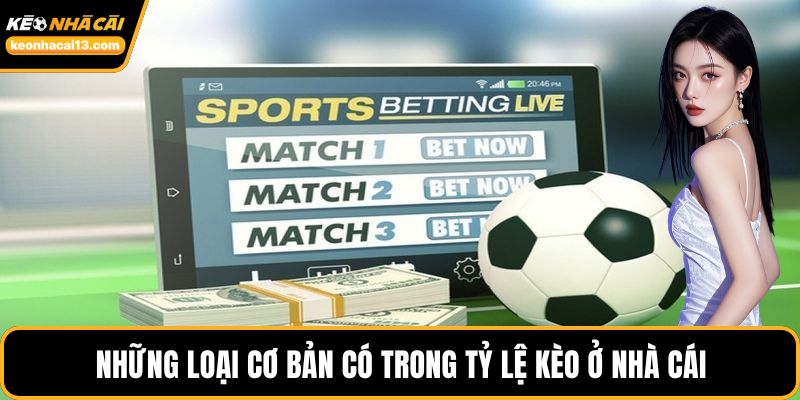 Những loại cơ bản có trong tỷ lệ kèo ở nhà cái